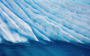 Nature Patterns