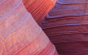 Nature Patterns