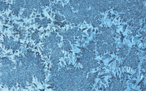 Nature Patterns