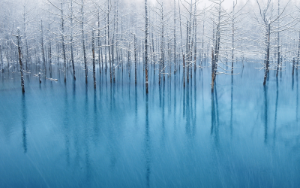 Nature Patterns