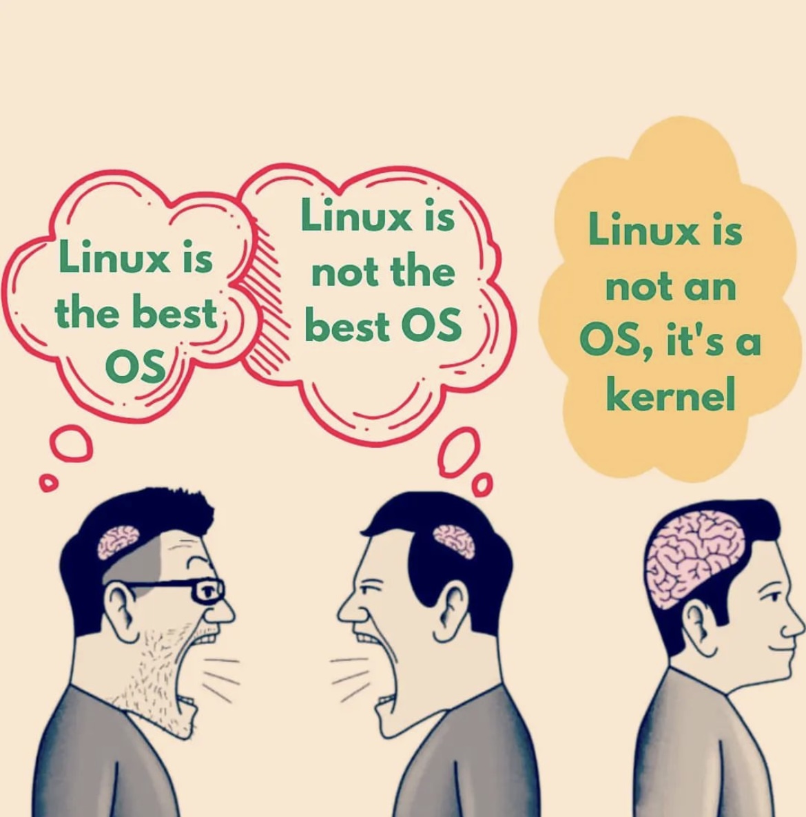 kernel