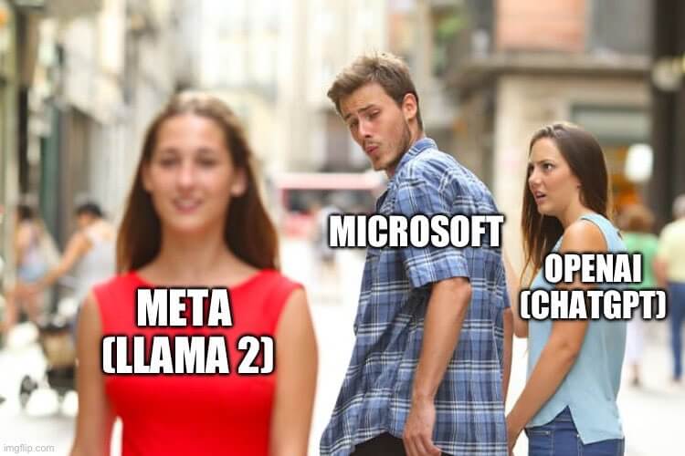 llama