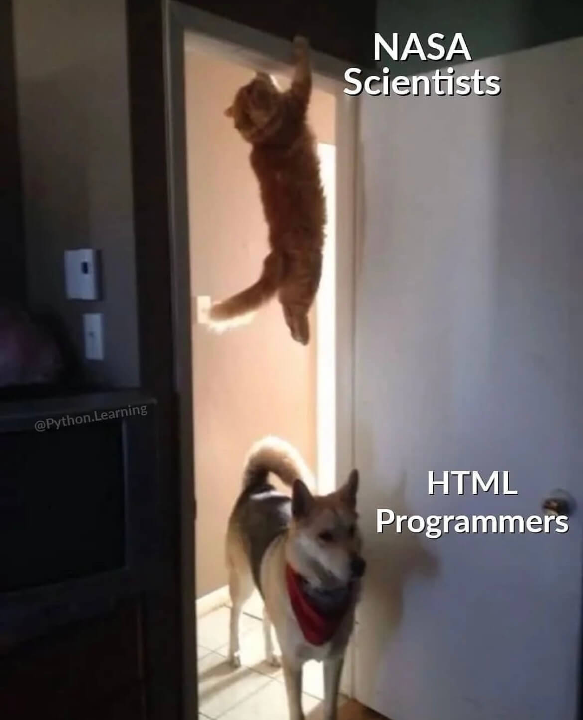 nasa-vs-html