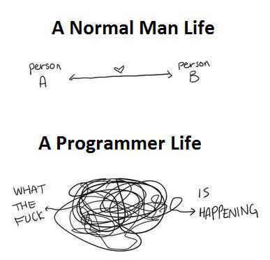 programmer life