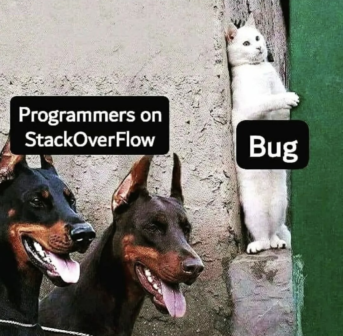 stackoverflow