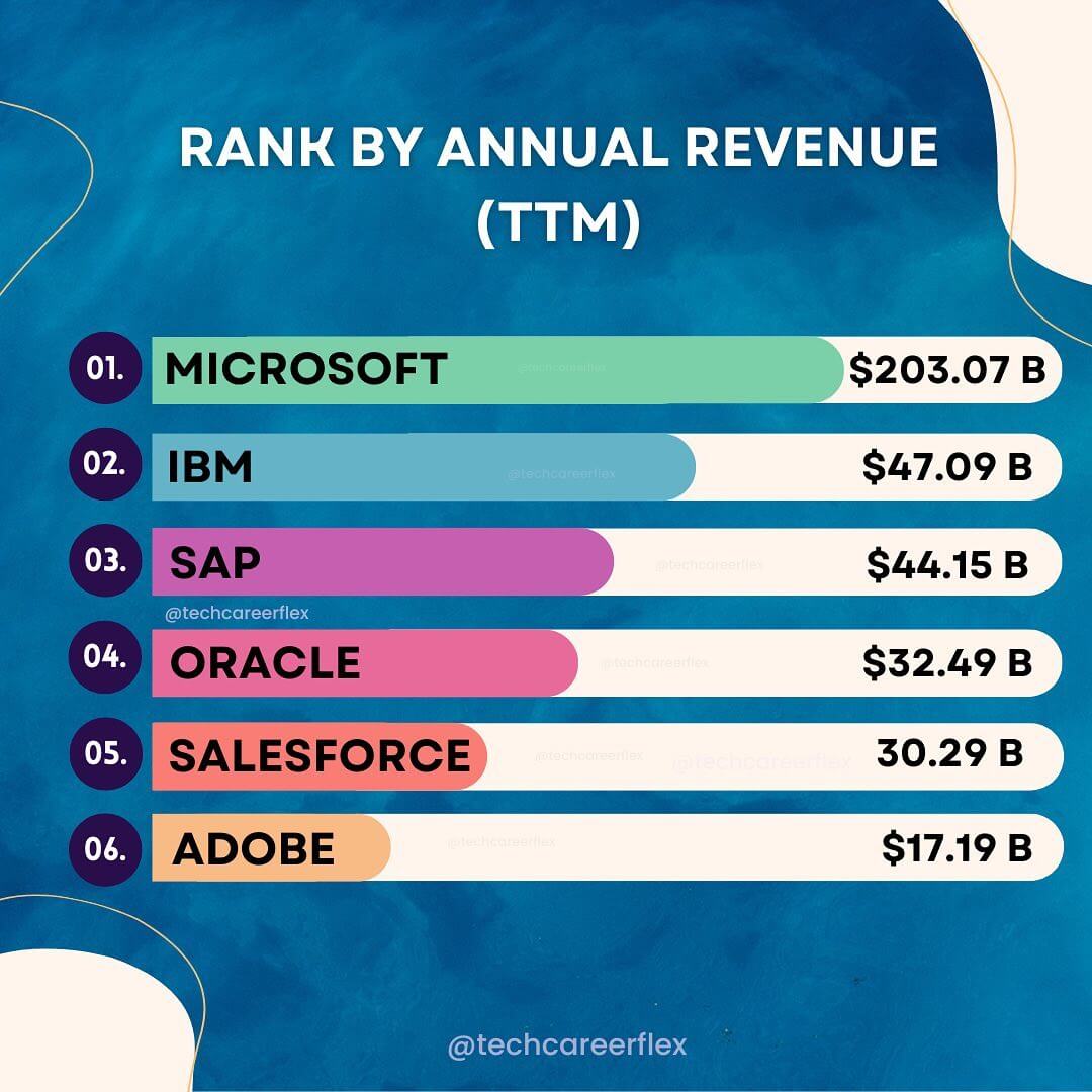 2022 largest software companies by revenue
