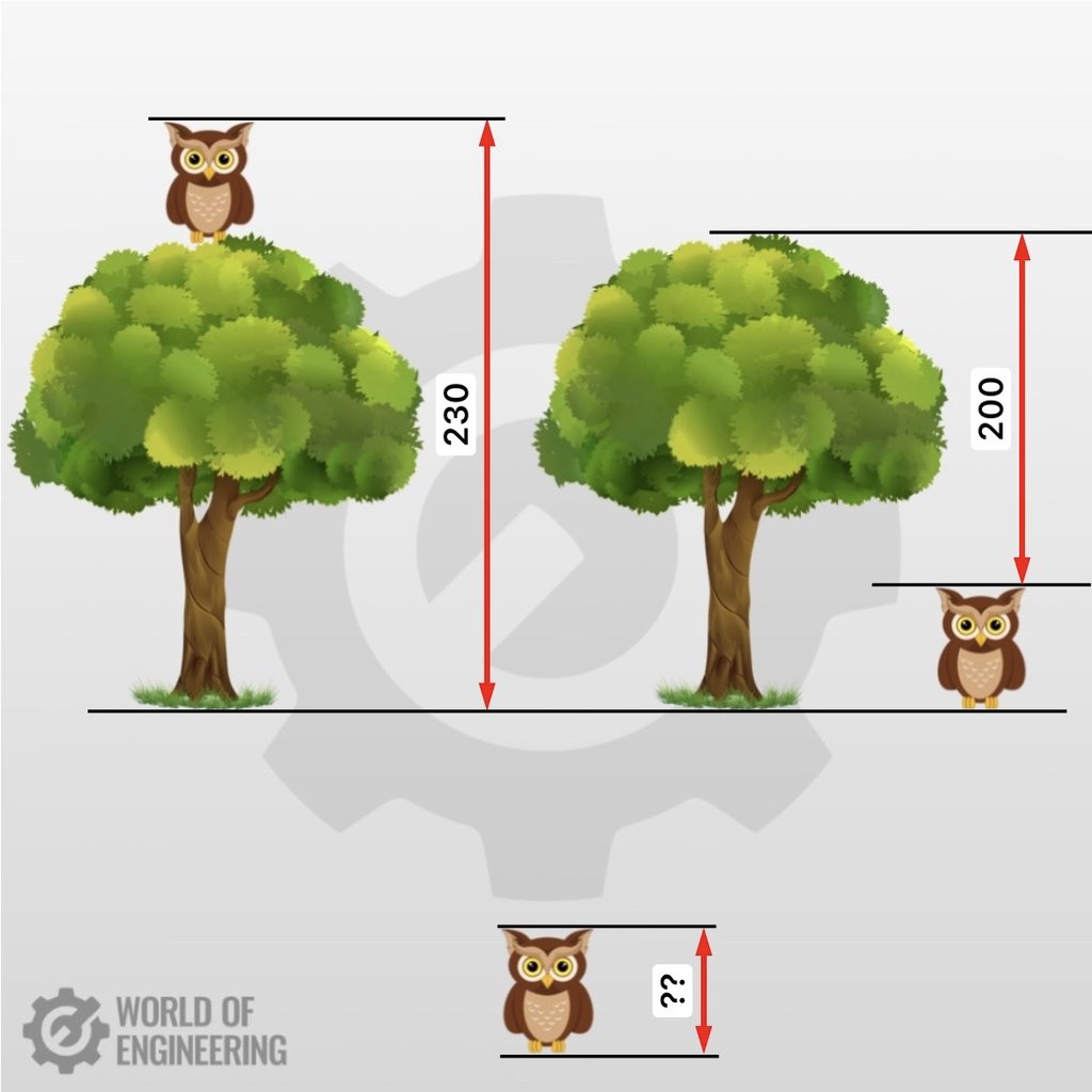 Owl equation